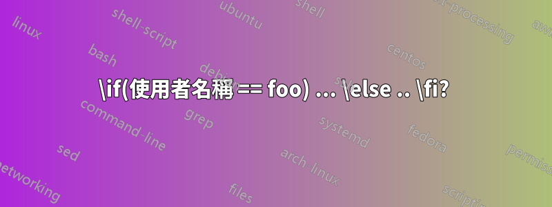 \if(使用者名稱 == foo) ... \else .. \fi?