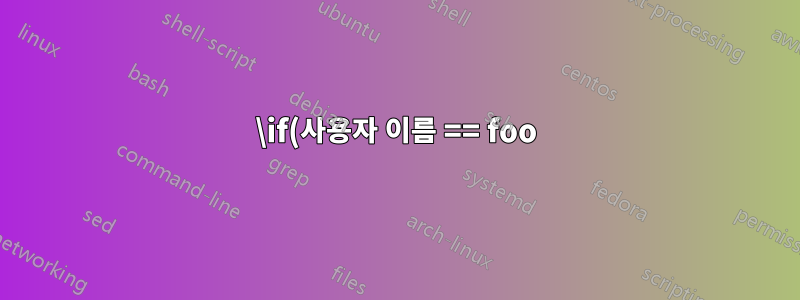 \if(사용자 이름 == foo) ... \else .. \fi?