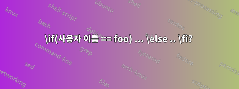 \if(사용자 이름 == foo) ... \else .. \fi?