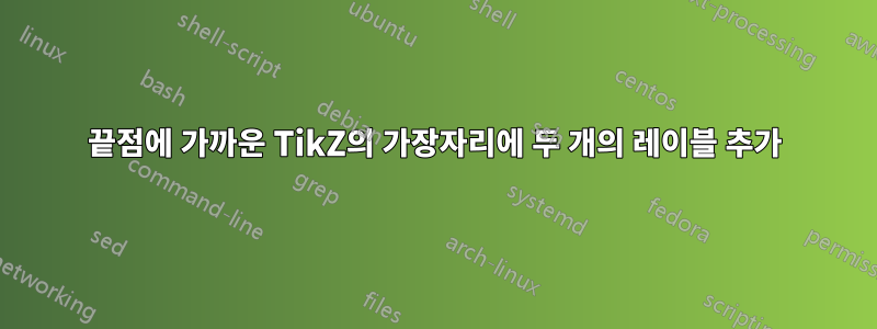 끝점에 가까운 TikZ의 가장자리에 두 개의 레이블 추가