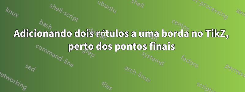 Adicionando dois rótulos a uma borda no TikZ, perto dos pontos finais