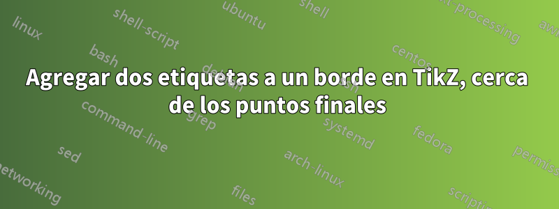 Agregar dos etiquetas a un borde en TikZ, cerca de los puntos finales