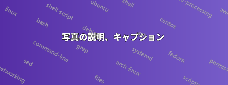 写真の説明、キャプション