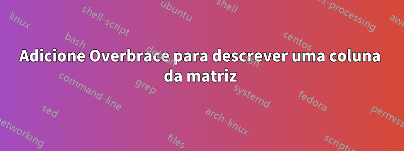 Adicione Overbrace para descrever uma coluna da matriz