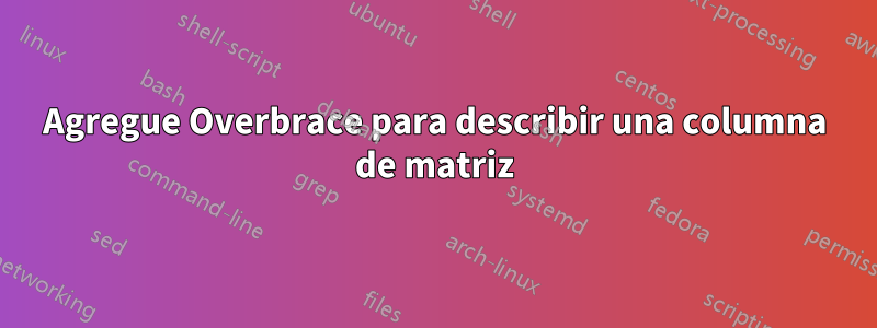 Agregue Overbrace para describir una columna de matriz