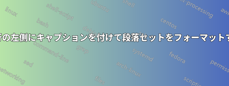 最初の行の左側にキャプションを付けて段落セットをフォーマットする方法