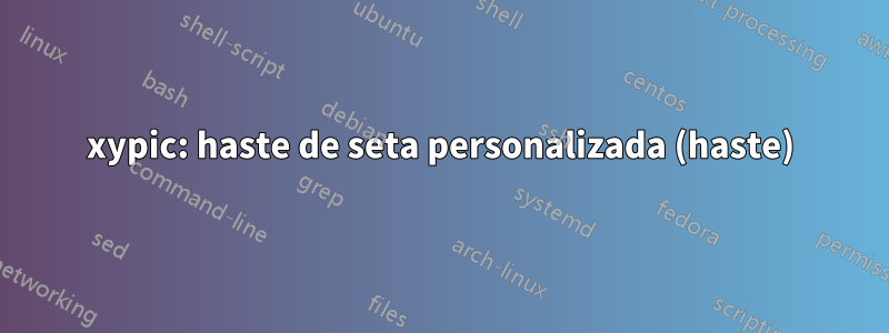 xypic: haste de seta personalizada (haste)