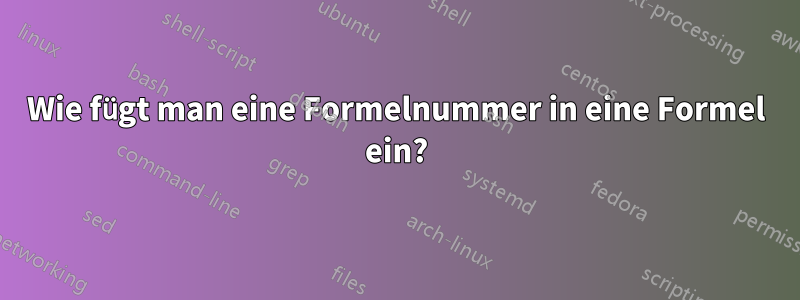 Wie fügt man eine Formelnummer in eine Formel ein?