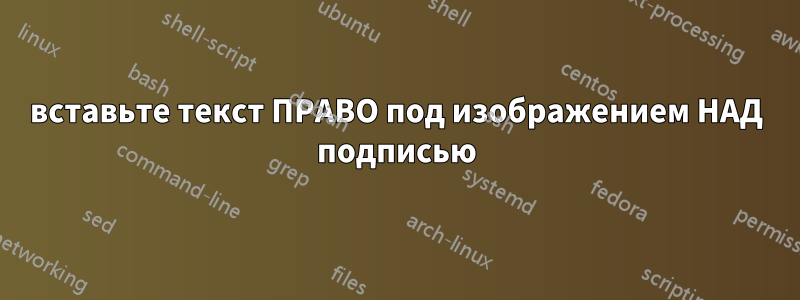 вставьте текст ПРАВО под изображением НАД подписью