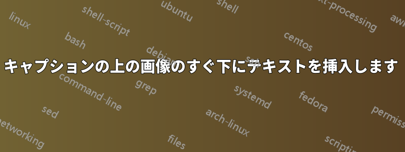 キャプションの上の画像のすぐ下にテキストを挿入します