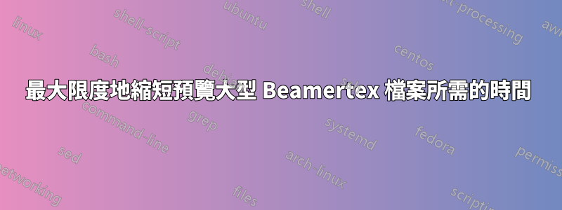 最大限度地縮短預覽大型 Beamertex 檔案所需的時間