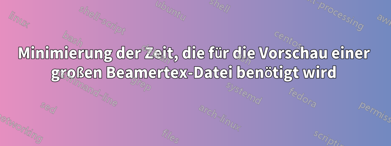 Minimierung der Zeit, die für die Vorschau einer großen Beamertex-Datei benötigt wird