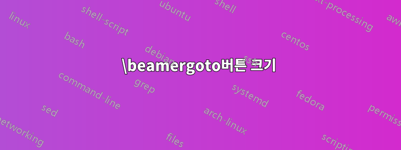 \beamergoto버튼 크기