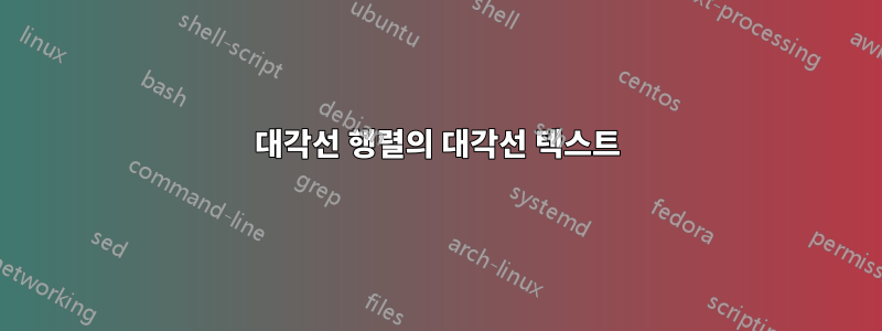 대각선 행렬의 대각선 텍스트