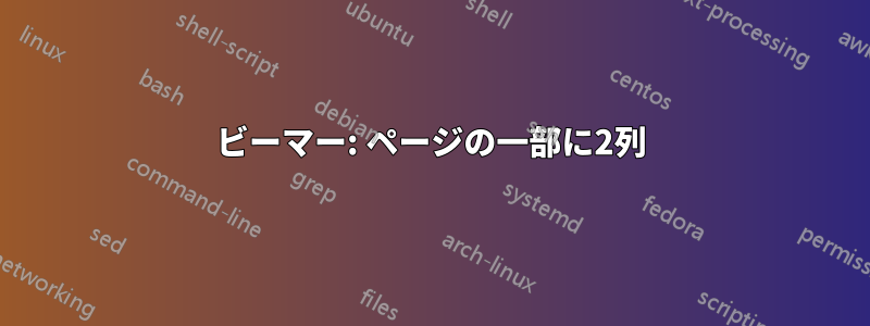 ビーマー: ページの一部に2列