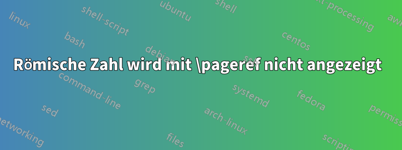 Römische Zahl wird mit \pageref nicht angezeigt 