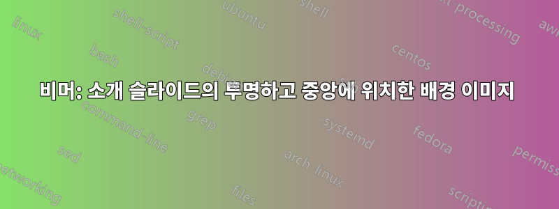 비머: 소개 슬라이드의 투명하고 중앙에 위치한 배경 이미지