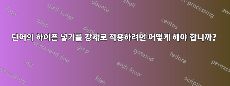 단어의 하이픈 넣기를 강제로 적용하려면 어떻게 해야 합니까?