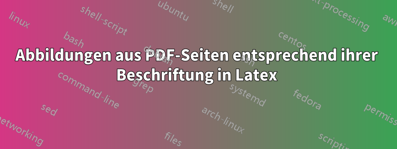 Abbildungen aus PDF-Seiten entsprechend ihrer Beschriftung in Latex