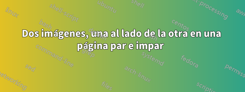 Dos imágenes, una al lado de la otra en una página par e impar 