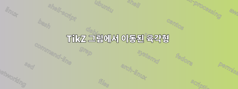 TikZ 그림에서 이동된 육각형