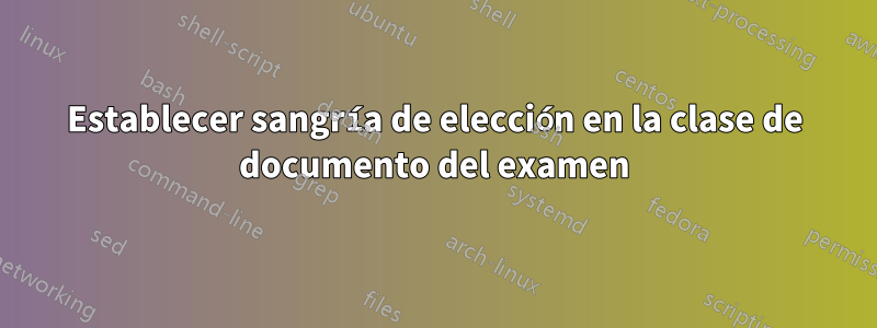 Establecer sangría de elección en la clase de documento del examen