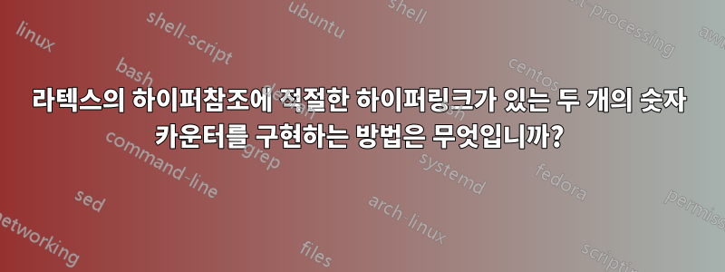 라텍스의 하이퍼참조에 적절한 하이퍼링크가 있는 두 개의 숫자 카운터를 구현하는 방법은 무엇입니까?