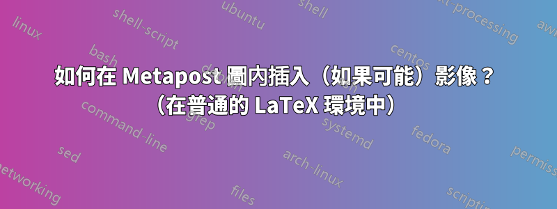 如何在 Metapost 圖內插入（如果可能）影像？ （在普通的 LaTeX 環境中）