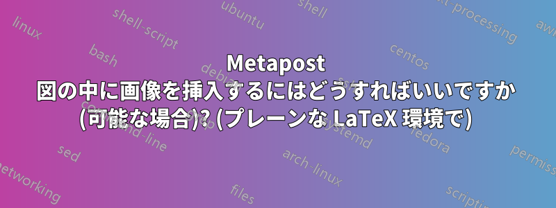 Metapost 図の中に画像を挿入するにはどうすればいいですか (可能な場合)? (プレーンな LaTeX 環境で)