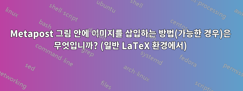 Metapost 그림 안에 이미지를 삽입하는 방법(가능한 경우)은 무엇입니까? (일반 LaTeX 환경에서)