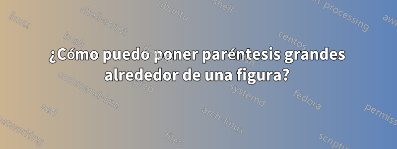 ¿Cómo puedo poner paréntesis grandes alrededor de una figura?