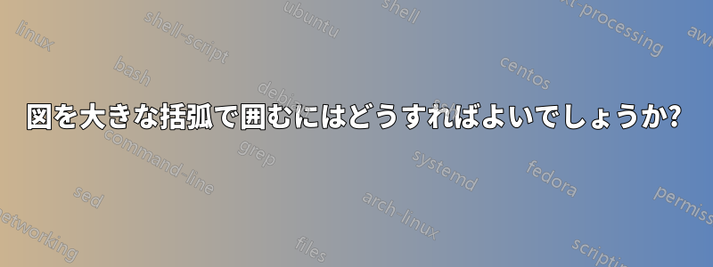 図を大きな括弧で囲むにはどうすればよいでしょうか?