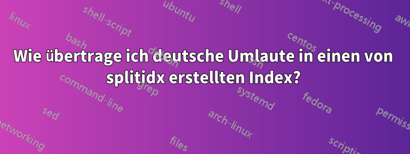 Wie übertrage ich deutsche Umlaute in einen von splitidx erstellten Index?