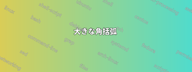 大きな角括弧