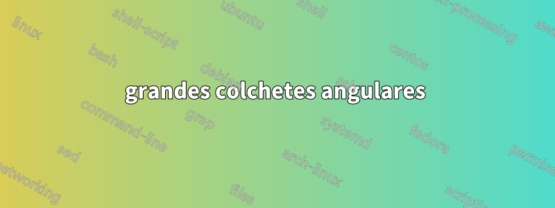 grandes colchetes angulares