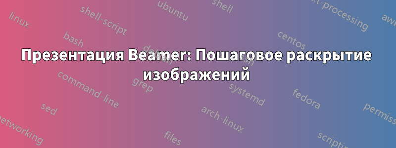 Презентация Beamer: Пошаговое раскрытие изображений
