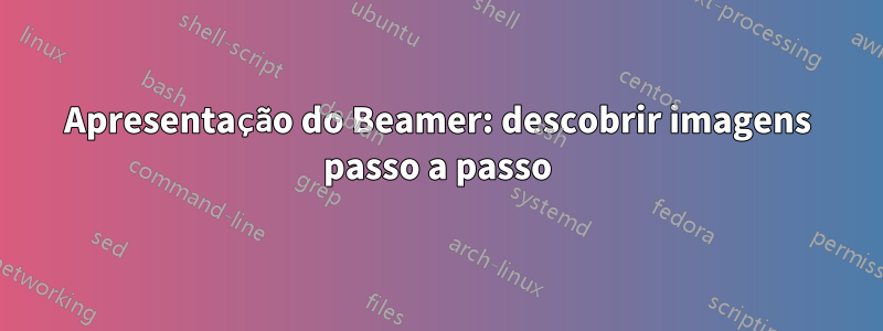 Apresentação do Beamer: descobrir imagens passo a passo