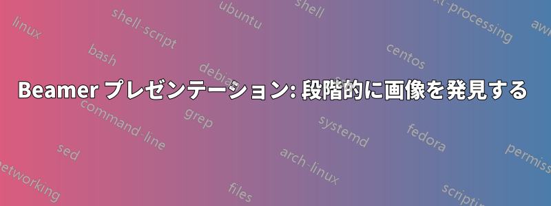 Beamer プレゼンテーション: 段階的に画像を発見する
