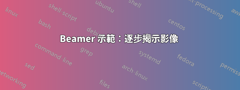 Beamer 示範：逐步揭示影像