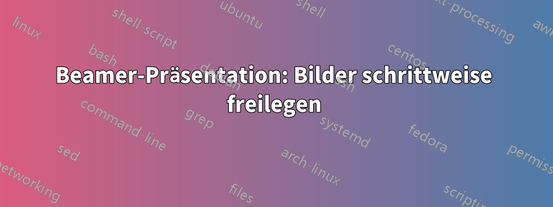 Beamer-Präsentation: Bilder schrittweise freilegen