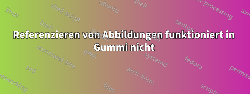 Referenzieren von Abbildungen funktioniert in Gummi nicht