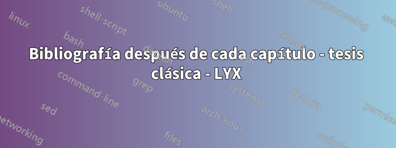Bibliografía después de cada capítulo - tesis clásica - LYX