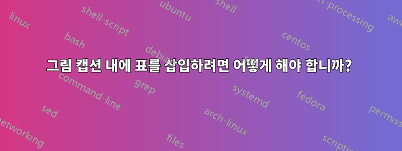 그림 캡션 내에 표를 삽입하려면 어떻게 해야 합니까?