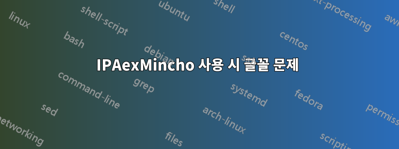 IPAexMincho 사용 시 글꼴 문제