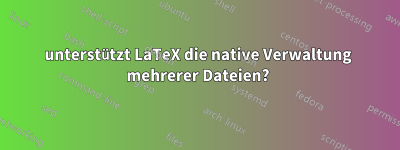 unterstützt LaTeX die native Verwaltung mehrerer Dateien?