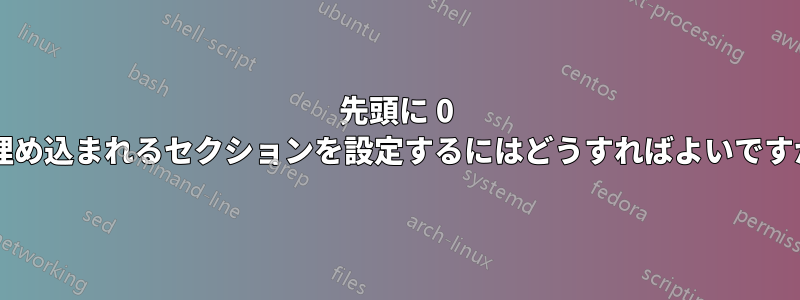 先頭に 0 が埋め込まれるセクションを設定するにはどうすればよいですか?