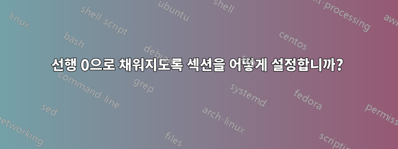 선행 0으로 채워지도록 섹션을 어떻게 설정합니까?