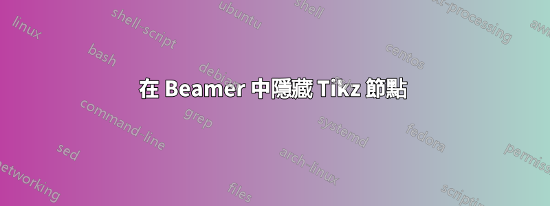 在 Beamer 中隱藏 Tikz 節點