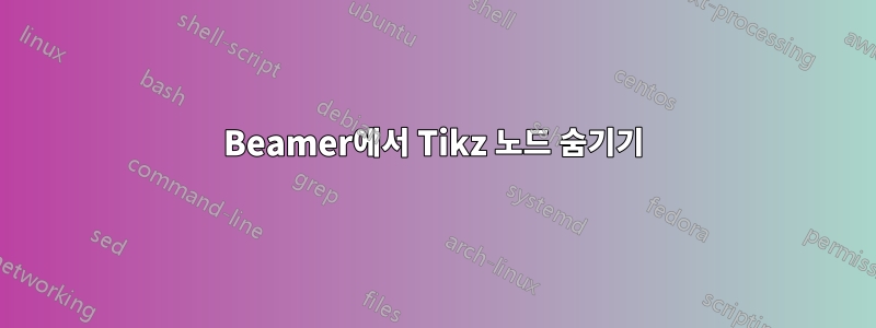 Beamer에서 Tikz 노드 숨기기