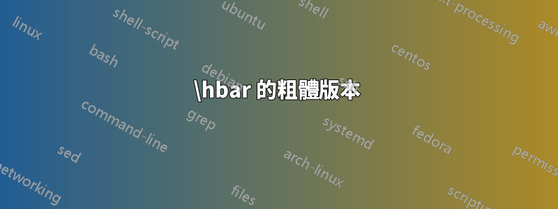 \hbar 的粗體版本